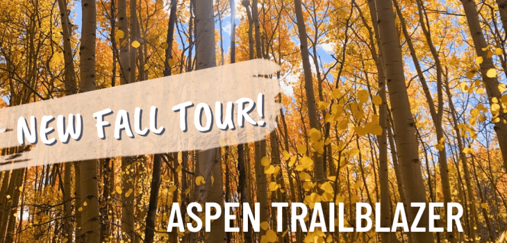 Photo of golden aspens near Denver, CO promoting Abstract Adventures new 2023 fall hike and paint tours