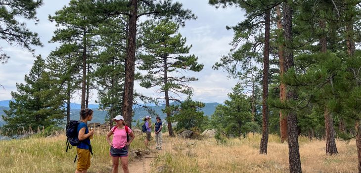 Creative Coaching adventure with ICF Colorado